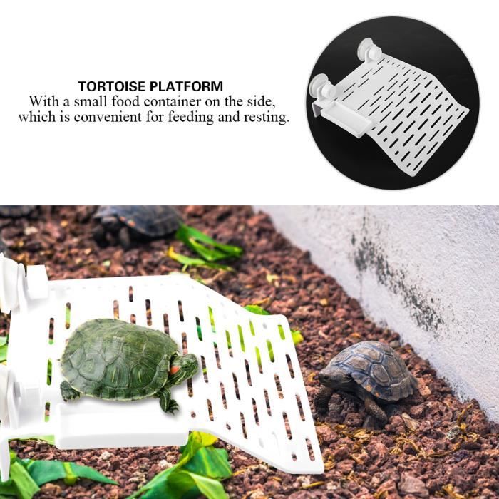 TAM Plate-forme de tortue Aquarium Plate-forme Tortue Terrasse Reptile Dock le Flottante Avec 