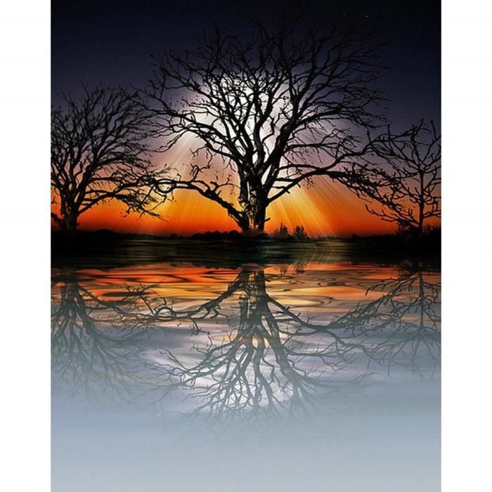 Conqueror Peinture Diamant Colore Paysage Arbre Diamond Painting Strass De Peintures De Broderie 5d Colle Point De Croix De Cdiscount Conqueror Peinture Diamant Colore Paysage Arbre Diamond Painting Strass De Peintures De Broderie 5d Colle Point De Croix De Cdiscount
