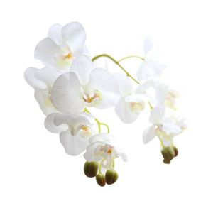 Naturellement secs coton tiges ferme fleur artificielle Remplisseur Floral Decor Yo