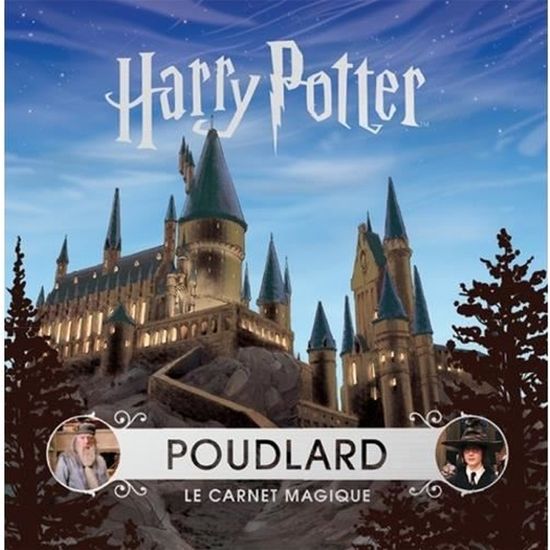 Mon carnet d'amitié Harry Potter