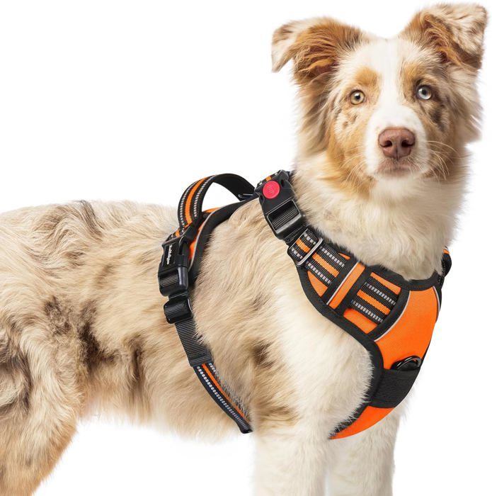 Comparer les prix de rabbitgoo Harnais Chien Anti Traction avec 3 boucles pour Chien Facile à Mettre Harnais Réfléchissant Réglable pour Chien orange M