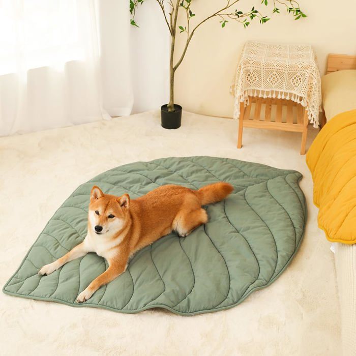 Couverture Animaux Double Face Vert Orme 106.7x142.2cm - Lavable Machine pour Chien Chat - Accessoire Animal ALURRA