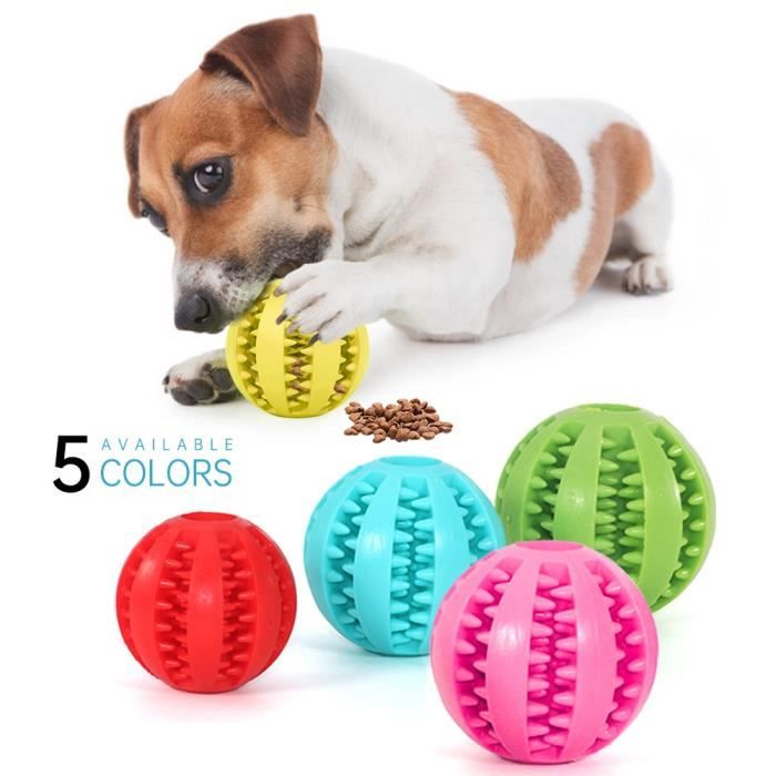 Giant dog ball new arrivals