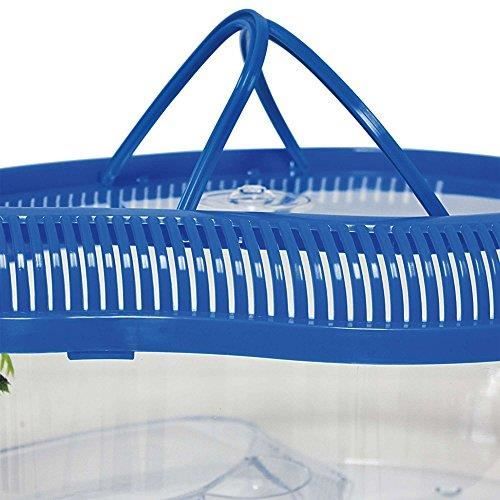 Georplast Tortuguera bleu avec couvercle Dauphin – habitat pour tortues