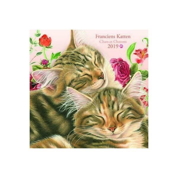 Calendrier Dessins De Chats Et Chatons 19 Achat Vente Calendrier Ephemeride Calendrier Dessins De Chats Cdiscount Calendrier Dessins De Chats Et Chatons 19 Achat Vente Calendrier Ephemeride Calendrier Dessins De Chats Cdiscount