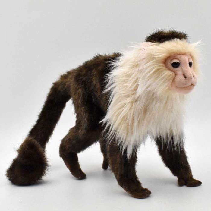 Hansa Peluche Singe Capucin cmh 25cml 229 Cdiscount Jeux Jouets Hansa Peluche Singe Capucin cmh 25cml 229 Cdiscount Jeux Jouets