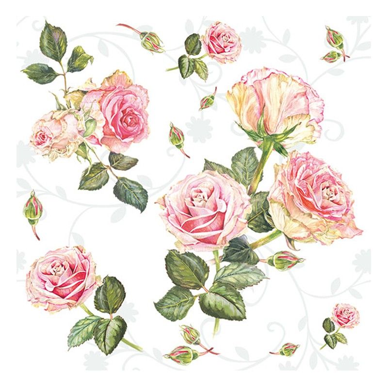 Serviettes Roses Anciennes 33x33cm Blanc Cdiscount Maison Serviettes Roses Anciennes 33x33cm Blanc Cdiscount Maison