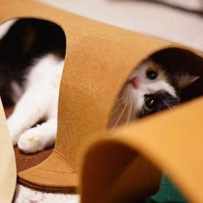 Tapis De Jeu Pour Chat Tapis Interactif Pour Tapis D Activite Amusante Pour Exercices De Chat En Interieur Materiau En Feutre Cdiscount Animalerie