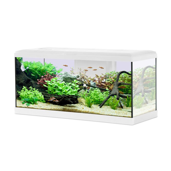 Meilleurs prix pour Aquarium Poisson Tana Led 80cm Blanc - Zolux - Rectangulaire - 84L - Chauffage