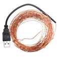 10m IP67 USB LED Guirlande Lumineuse Graine Beam String Cable Cuivre Noël Mariage Rouge-1