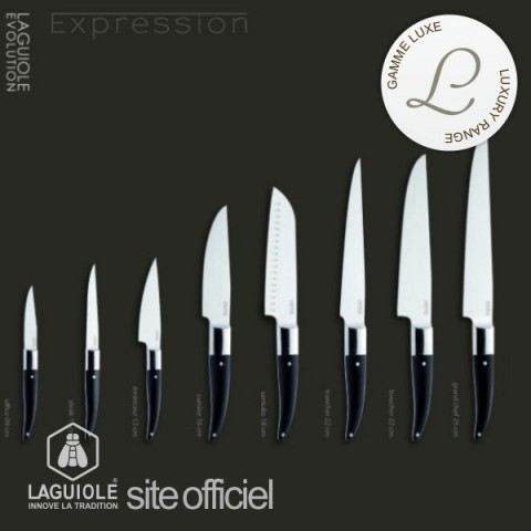 lot 3 Couteaux Laguiole luxe Steak Expression, ABS