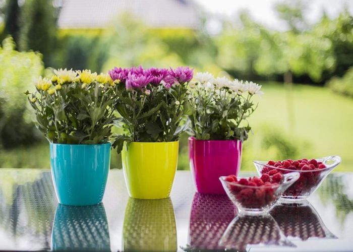 Lot De 2 Grands Pots De Fleurs En Plastique Pour Extérieur - Moderne Lot De 2 Grands Pots De Fleurs En Plastique Pour Extérieur - Moderne