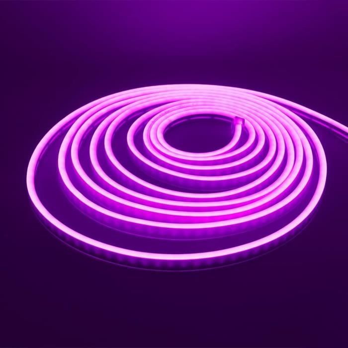 Lumière Au Néon Led, 12V 2835 120Leds - M Imperméable À L'Eau Flexible Led  Light Strip Au Néon Avec (Violet, 2M)[L852] - Cdiscount Maison