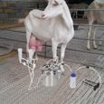 ZJCHAO kit de traite de chèvre Kit de traite de vache de chèvre de 5L Machine à traire électrique portative à impulsion-0