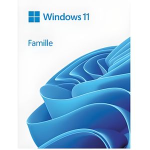 SYST EXPLOIT À TÉLÉCHARGER Windows 11 Famille - Licence perpétuelle - 1 PC - 