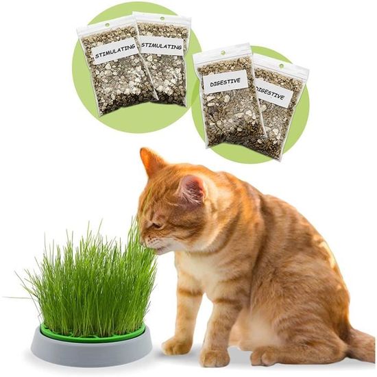 Plateaux de germination de plantes, pot de fleurs d'herbe à chat, plateau  de démarrage de graines d'herbe à chat, kit de culture de l'herbe à chat