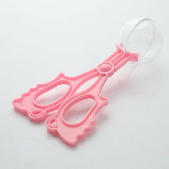 Attrape Araignée | Attrape- Spider |Moucherolle | Brosse Respectueux Des Animaux