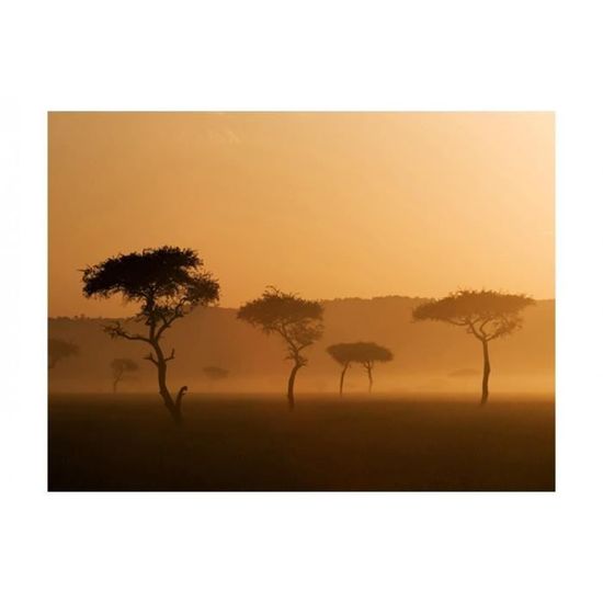 Nappes Papier peint papier peint Papier peint photo Afrique arbre soleil ciel Photo 13n055vexxxl