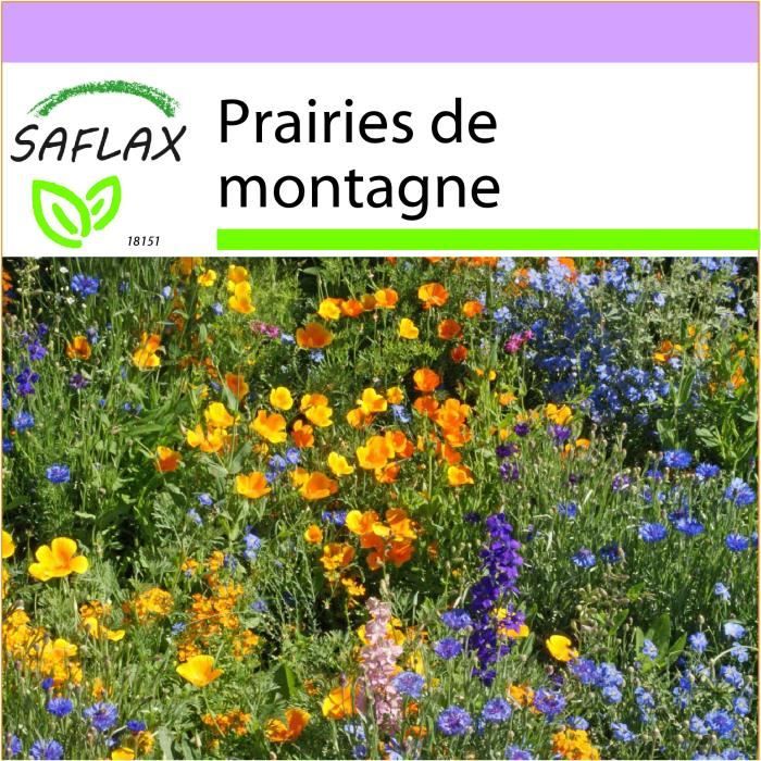 SAFLAX - Prairies de montagne - 1000 graines - 16 Variétés