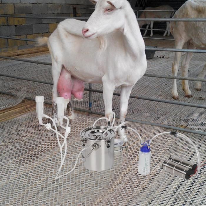 ZJCHAO kit de traite de chèvre Kit de traite de vache de chèvre de 5L Machine à traire électrique portative à impulsion