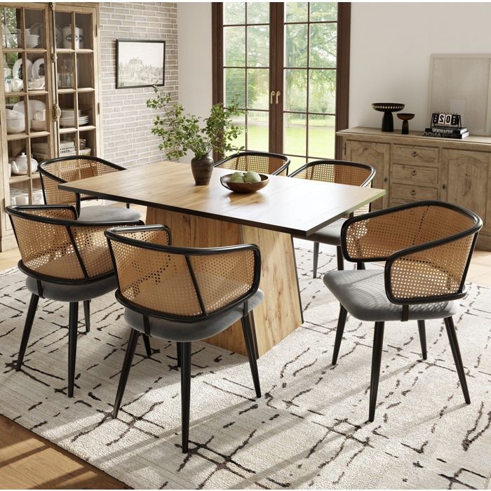 Chaises de Salle à Manger Lot de 6 avec Accoudoirs Dossier en Cannage et Assise en Velours - BEAUNIV - Gris 51×54×79 cm