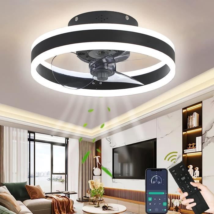 Ventilateurs de Plafond Avec Lampe et Télécommande - Plafonnier Dimming Timing 6 Wind Speed Salon Ventilateur Plafonnier - Noir - Zgeer