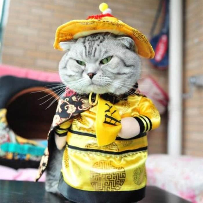 Deguisement Pour Chat Halloween Cdiscount