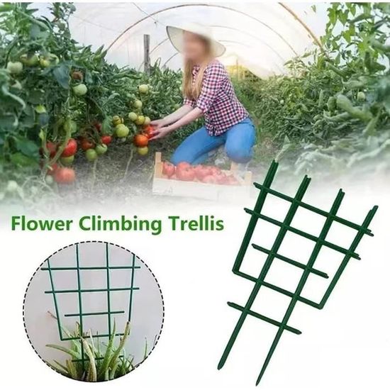 Obélisque De Jardin, Support De Plantes Grimpantes, Cage à Tomates Stable, Treillis De Jardin, Cage De