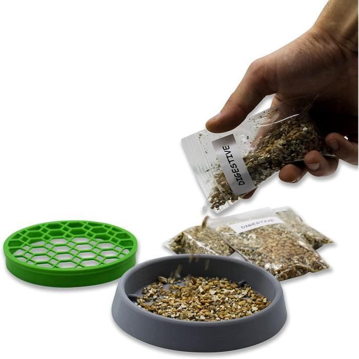 R&R SHOP - Mélange de graines d'herbe à chat, croissance rapide pour un chat  heureux, graines européennes de haute qualité (150gr) : :  Animalerie