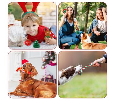 Jouet à Mâcher Pour Chien Noël – 4 Pièces En Corde (sapin, Flocon, Bonhomme De Neige, Couronne) – Avec Bruit Couinant – Pour Petits Et Grands Chiens