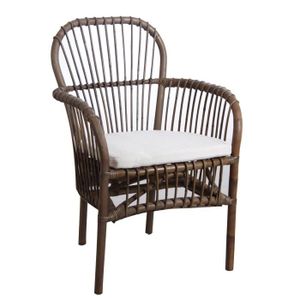 Fauteuil Rotin Gris