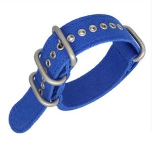 BRACELET DE MONTRE 18mm 20mm 22mm 24mm toile de haute qualité otan sangle sports de plein air bracelet en nylon épais bracelet de montr - Blue - JB655
