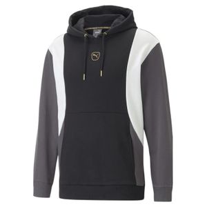 SWEATSHIRT Sweatshirt à capuche Puma King Top - black/shadow 