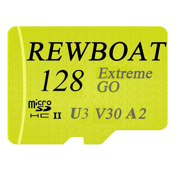 Carte MicroSDXC Biwin MS100 256 Go - Vitesse 100 Mo/s, UHS-I U3, V30, A1, Pour Smartphone, Tablette, Caméra