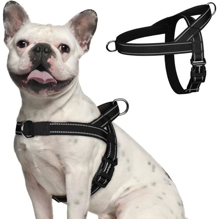 Meilleurs prix pour Harnais Chien Anti Traction harnais pour petit chien Facile à Mettre Harnais Réglable avec Attache Devant M Noir Label