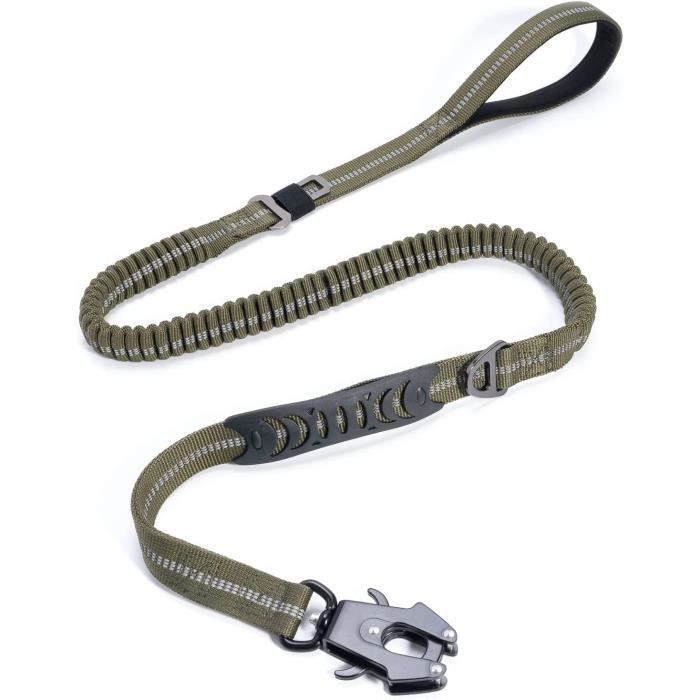 Laisse pour Chien Solide, Laisse De Chien Extensible Anti Traction 1.5M avec Confort Poignée pour Petit Moyens Grands Chien, Vert