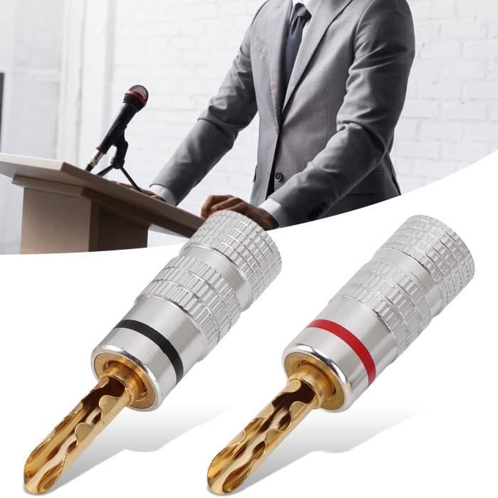Fiches Bananes 4 Voies 4mm - Connecteur Haut-parleur Voiture Câble 6mm²