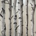 Fine Decor - Papier Peint Beige Naturel-Crème - FD31051 - Forêt Bois Bouleau-1