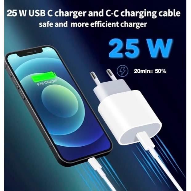 Chargeur Rapide 25W Usb-C Pd Fast Charger 3,1 Certifié Mfi Compatible ...