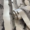 Fine Decor - Papier Peint Beige Naturel-Crème - FD31051 - Forêt Bois Bouleau-2