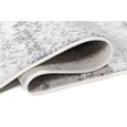 TAPISO Tapis Salon Poils Ras Sky Gris Blanc Ornemental Polyester Intérieur 200x300 cm-2