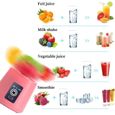 Mini blender portable USB pour smoothies et jus de fruits - 6 lames - 400 ml - DONFANLIA-2