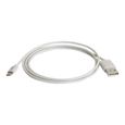 C2G USB A Male to Lightning Male Sync and Charging Cable - Câble Lightning - Lightning (M) pour USB (M) - 1 m - blanc-0
