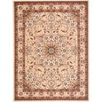 Tapis D Orient Achat Vente Pas Cher