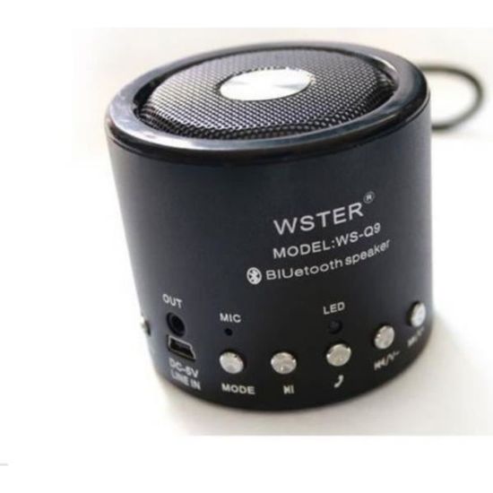 Mini Enceinte Bluetooth 5.0, Radio FM et Micro avec Dragonne, WSY01 - Noir