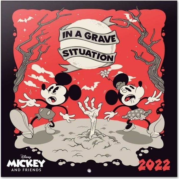 Calendrier Familial Disney 2023 2024 Calendrier 2022 30X30 Disney Mickey - Cdiscount Beaux-Arts Et Loisirs  Créatifs