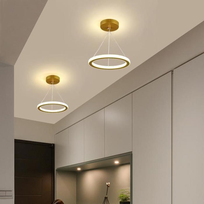 WOTTES LED Plafonnier Moderne Rond - Lampe de plafond Lustre en Acrylique Doré pour Salon Couloir - Multicolore - 2pcs Ø20*20CM