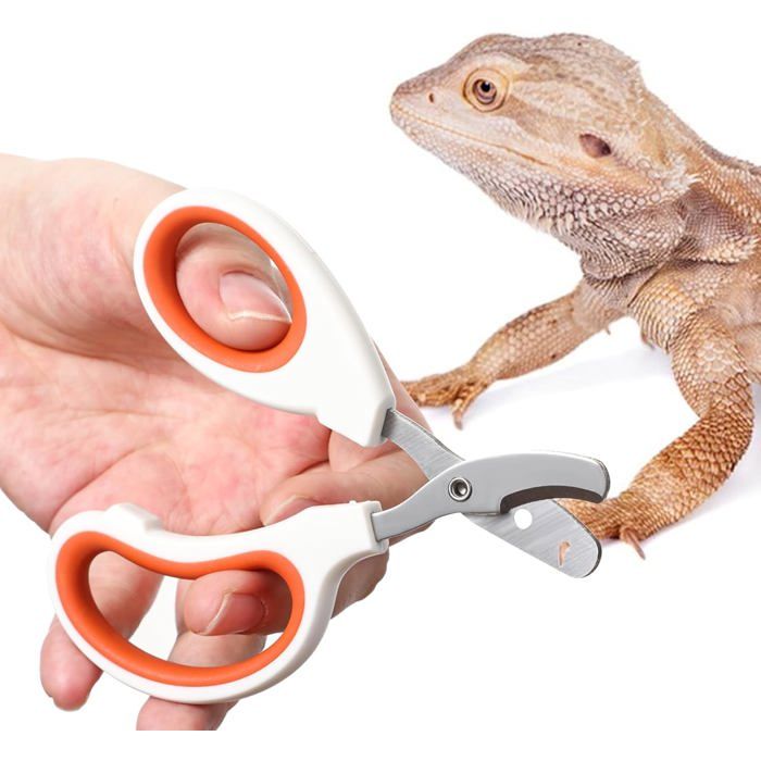 Coupe-ongles en acier inoxydable pour reptiles pogona lézard tortue hérisson accessoires de soin