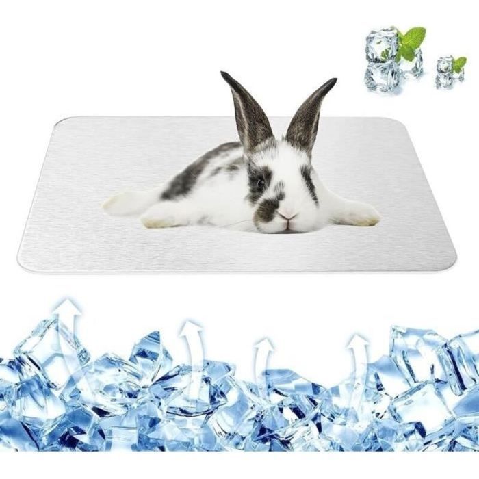 Tapis de refroidissement - Aluminium conducteur Résistant aux morsures - Petits animaux - 30x20 cm