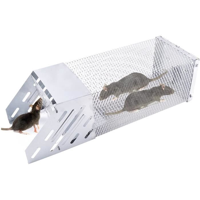 Pest Control Souris et Rat Classique Piège Hardwood Classic Cage Humain 